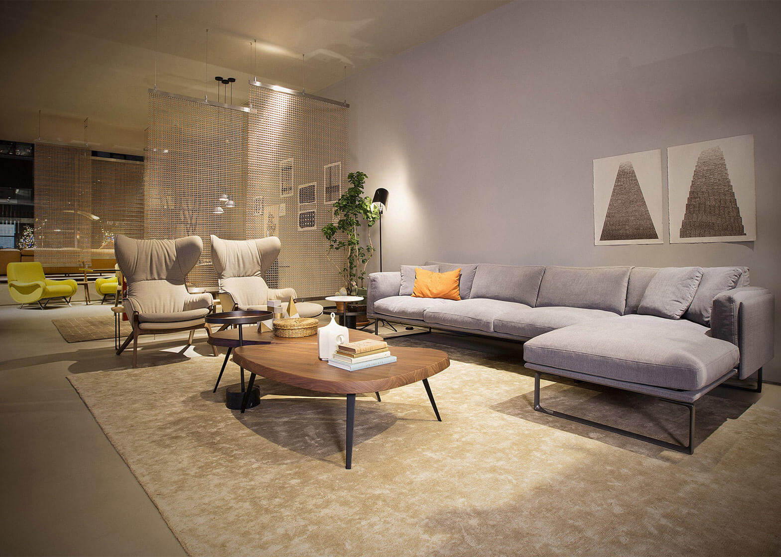 thiết kế showroom 9